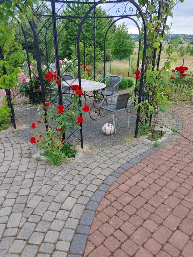 颇莫兹公寓 Białogóra 外观 照片