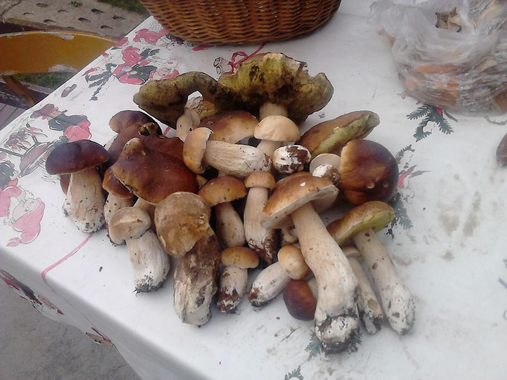颇莫兹公寓 Białogóra 外观 照片